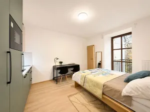 Pronájem bytu 1+kk, Brno, Francouzská, 22 m2