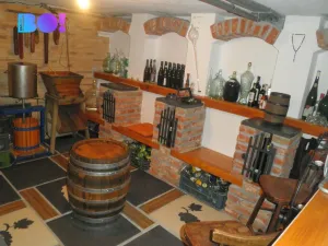 Prodej rodinného domu, Opava, Květinová, 270 m2
