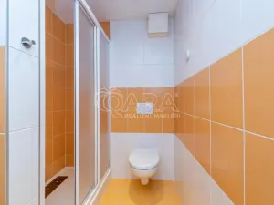 Pronájem bytu 2+kk, Praha - Krč, Na strži, 47 m2