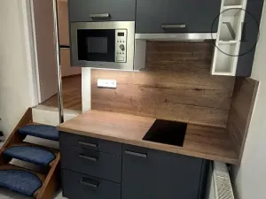 Pronájem bytu 1+kk, České Budějovice, Jírovcova, 28 m2
