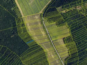 Prodej lesa, Silůvky, 521 m2