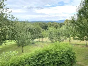 Pronájem rodinného domu, Zubří, Na Kopci, 39 m2