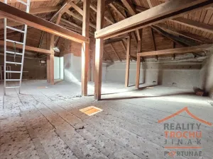 Prodej obchodního prostoru, Sadová, 339 m2