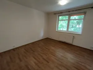 Pronájem bytu 1+kk, Pardubice - Studánka, Pod Studánkou, 28 m2