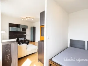Pronájem bytu 1+kk, Praha - Záběhlice, Ve slatinách, 30 m2