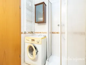 Pronájem bytu 1+kk, Praha - Záběhlice, Ve slatinách, 30 m2