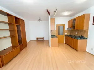 Pronájem bytu 1+kk, Praha - Libeň, Kurta Konráda, 29 m2