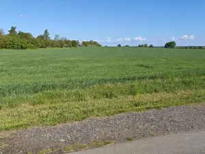 Prodej pozemku pro bydlení, Sibřina - Stupice, 1050 m2