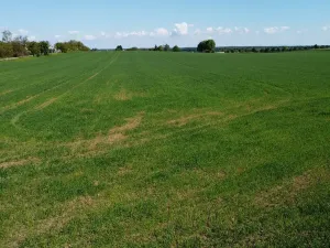 Prodej pozemku pro bydlení, Sibřina - Stupice, 1278 m2