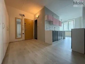 Prodej bytu 2+1, Jirkov, Hornická, 61 m2