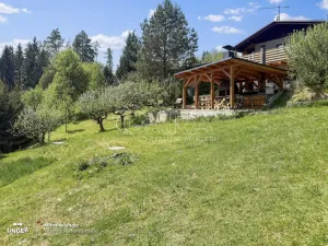 Prodej chaty, Týnec nad Sázavou - Čakovice, 99 m2