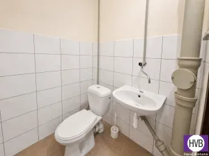 Pronájem kanceláře, Praha, Přecechtělova, 17 m2