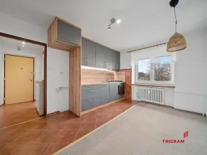 Prodej bytu 2+1, Pardubice - Zelené Předměstí, Wolkerova, 49 m2