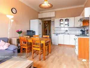 Prodej bytu 2+kk, Plzeň - Jižní Předměstí, Edvarda Beneše, 50 m2