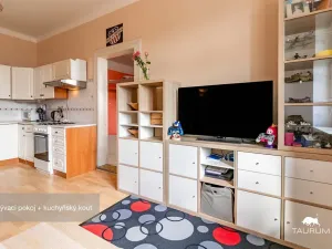 Prodej bytu 2+kk, Plzeň - Jižní Předměstí, Edvarda Beneše, 50 m2