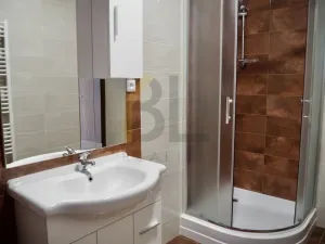 Pronájem bytu 1+1, Hodonín, Nádražní řádek, 46 m2