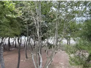 Prodej bytu 3+kk, Via Taormina,Villa Rosa,Itálie, 76 m2