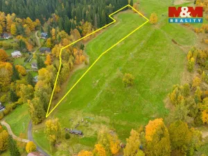 Prodej louky, Albrechtice v Jizerských horách, 13478 m2