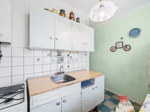 Prodej bytu 2+1, Plzeň - Východní Předměstí, Rychtaříkova, 48 m2