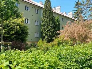 Pronájem bytu 2+1, Mladá Boleslav, Erbenova, 58 m2