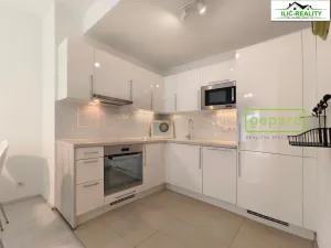 Pronájem bytu 1+1, Praha, Petržílkova, 40 m2