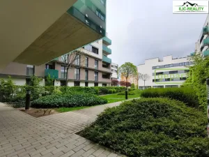 Pronájem bytu 1+1, Praha, Petržílkova, 40 m2