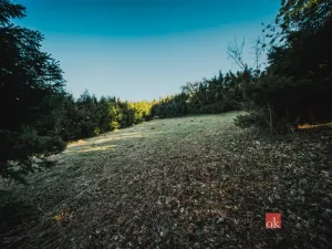 Prodej pozemku pro bydlení, Sušice, 1284 m2