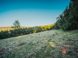 Prodej pozemku pro bydlení, Sušice, 1284 m2
