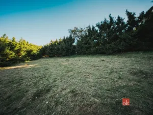 Prodej pozemku pro bydlení, Sušice, 1284 m2