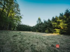 Prodej pozemku pro bydlení, Sušice, 1284 m2