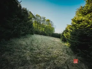 Prodej pozemku pro bydlení, Sušice, 1284 m2