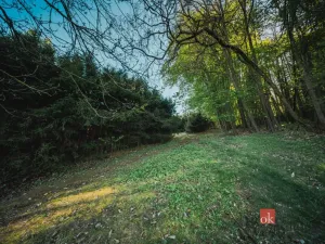 Prodej pozemku pro bydlení, Sušice, 1284 m2