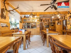 Prodej restaurace, Kyselka - Radošov, 28553 m2