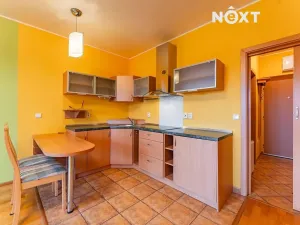 Pronájem bytu 1+kk, Zábřeh, Mánesova, 34 m2