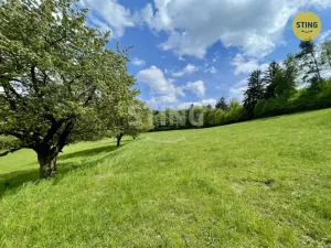 Prodej lesa, Městečko Trnávka - Pěčíkov, 16440 m2