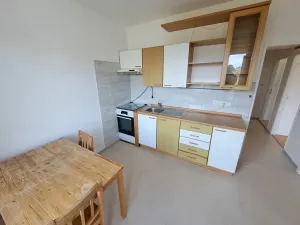 Prodej bytu 2+1, Brno, Plevova, 50 m2