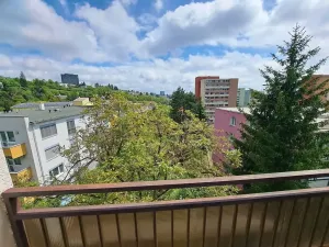 Prodej bytu 2+1, Brno, Plevova, 50 m2