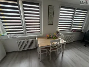 Pronájem bytu 3+1, Most, Kpt. Jaroše, 63 m2