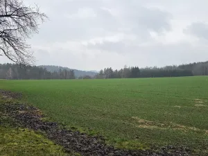 Prodej pozemku, Chocnějovice - Buda, 2533 m2