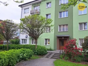 Pronájem bytu 2+1, Postřelmov, Nová, 9 m2