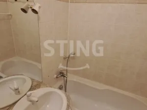Pronájem bytu 2+1, Postřelmov, Nová, 9 m2