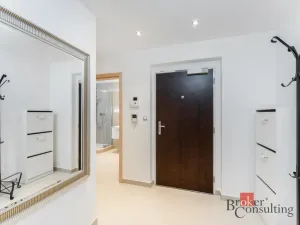 Pronájem bytu 1+kk, Praha, Olšanská, 39 m2