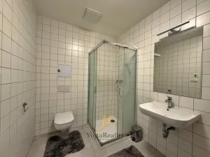 Pronájem bytu 1+kk, Olomouc, Černá cesta, 47 m2