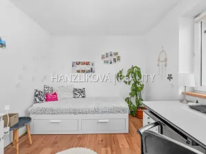 Prodej bytu 3+1, České Budějovice - České Budějovice 3, Nerudova, 80 m2