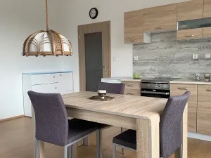 Pronájem bytu 1+kk, Kladno, Jaroslava Holečka, 34 m2