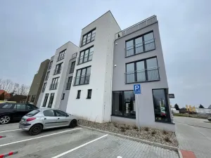 Pronájem bytu 1+kk, Mělník, U Potoka, 32 m2