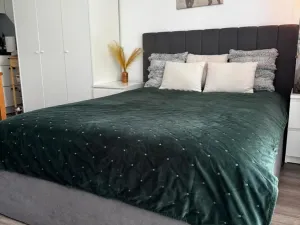 Pronájem bytu 1+kk, Mělník, U Potoka, 32 m2