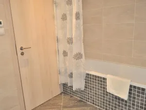 Pronájem bytu 1+kk, Praha - Žižkov, Olšanská, 40 m2