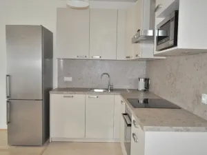 Pronájem bytu 1+kk, Praha - Žižkov, Olšanská, 40 m2