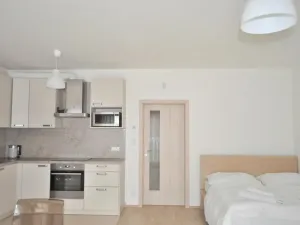Pronájem bytu 1+kk, Praha - Žižkov, Olšanská, 40 m2
